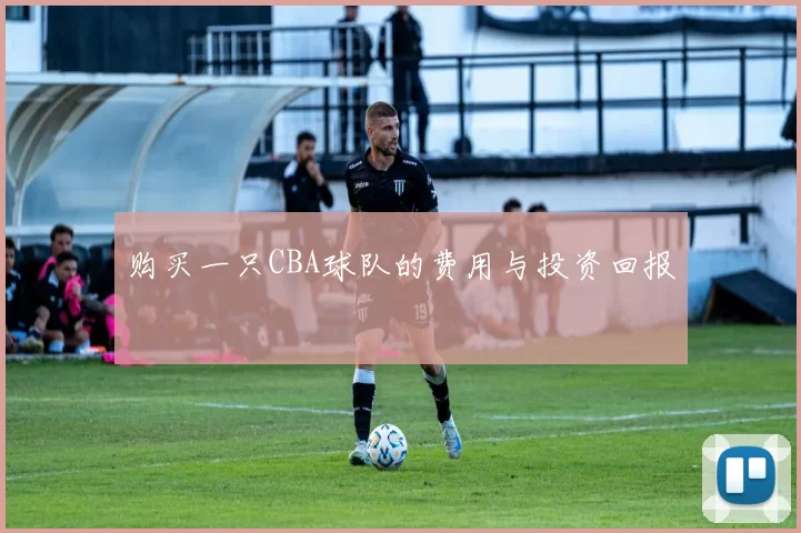 购买一只CBA球队的费用与投资回报