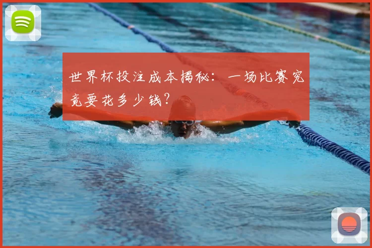 世界杯投注成本揭秘：一场比赛究竟要花多少钱？