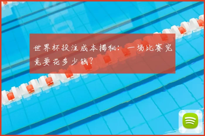 世界杯投注成本揭秘：一场比赛究竟要花多少钱？