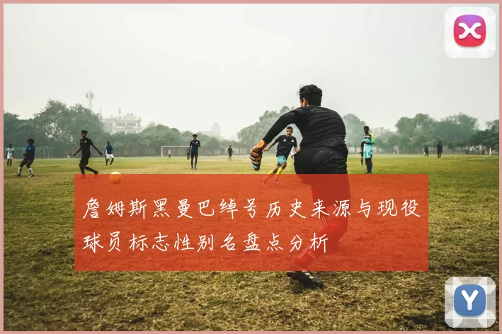 詹姆斯黑曼巴绰号历史来源与现役球员标志性别名盘点分析