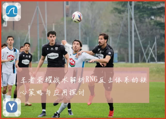 王者荣耀战术解析RNG反击体系的核心策略与应用探讨