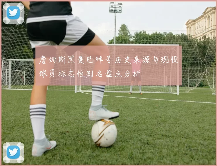 詹姆斯黑曼巴绰号历史来源与现役球员标志性别名盘点分析