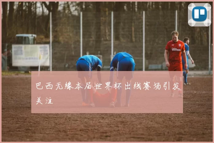 巴西无缘本届世界杯出线赛场引发关注
