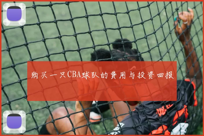 购买一只CBA球队的费用与投资回报