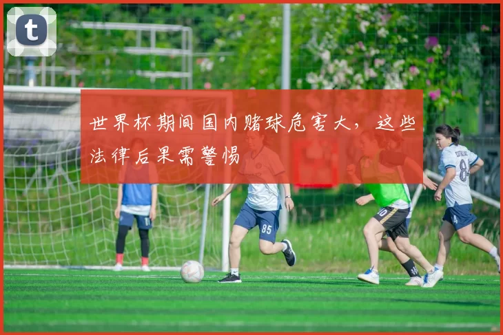 世界杯期间国内赌球危害大,这些法律后果需警惕