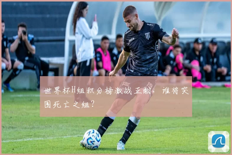 世界杯H组积分榜激战正酣,谁将突围死亡之组?