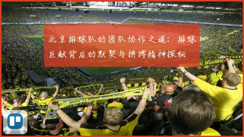 北京排球队的团队协作之道：排球巨献背后的默契与拼搏精神探秘