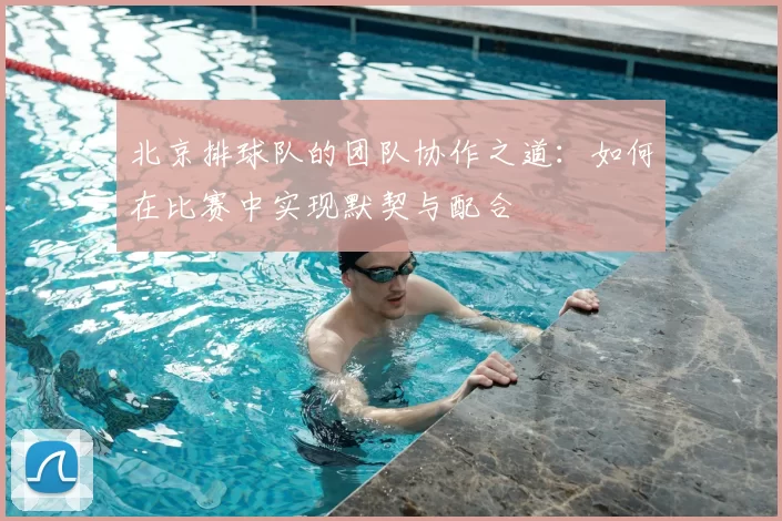 北京排球队的团队协作之道：如何在比赛中实现默契与配合