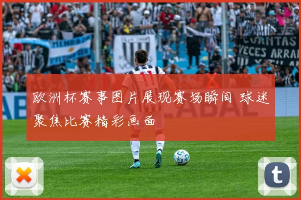 欧洲杯赛事图片展现赛场瞬间 球迷聚焦比赛精彩画面