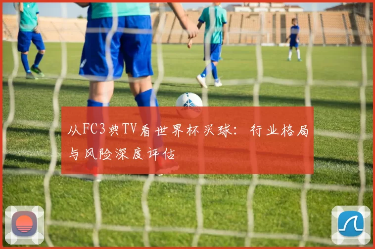 从FC3典TV看世界杯买球：行业格局与风险深度评估