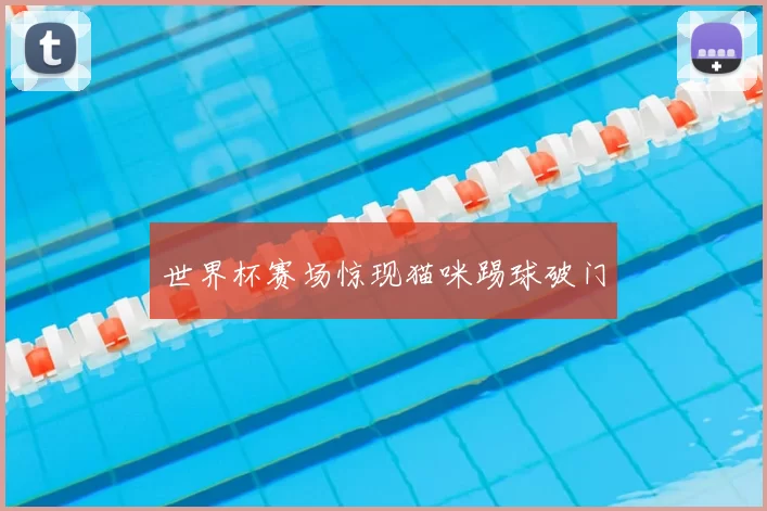 世界杯赛场惊现猫咪踢球破门