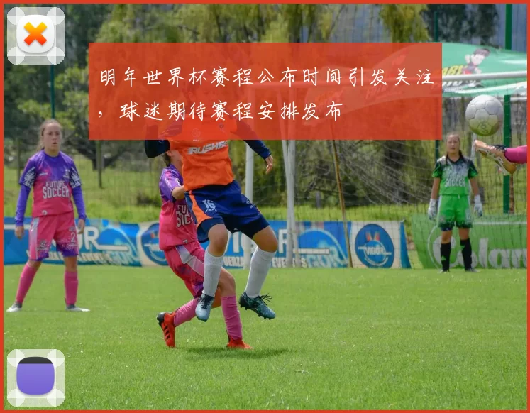 明年世界杯赛程公布时间引发关注，球迷期待赛程安排发布