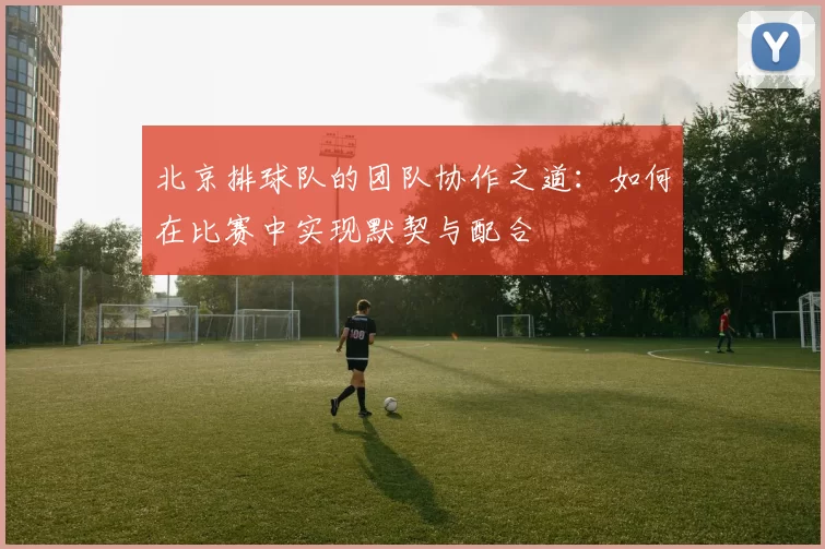 北京排球队的团队协作之道:如何在比赛中实现默契与配合
