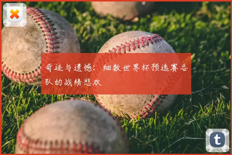 奇迹与遗憾：细数世界杯预选赛各队的战绩悲欢